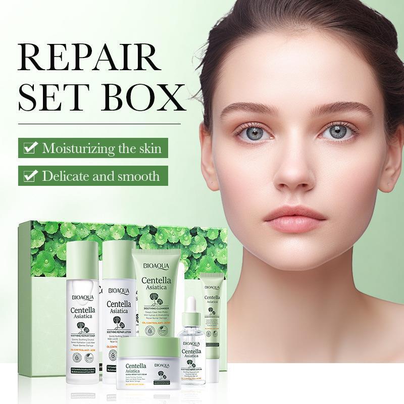 BIOAQUA -Repair Set Box
